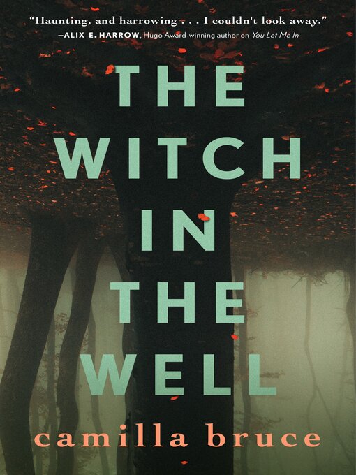 Title details for The Witch In the Well by Camilla Bruce - Available